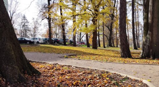Budujemy w Jaśle, stabilizujemy w Svidničke