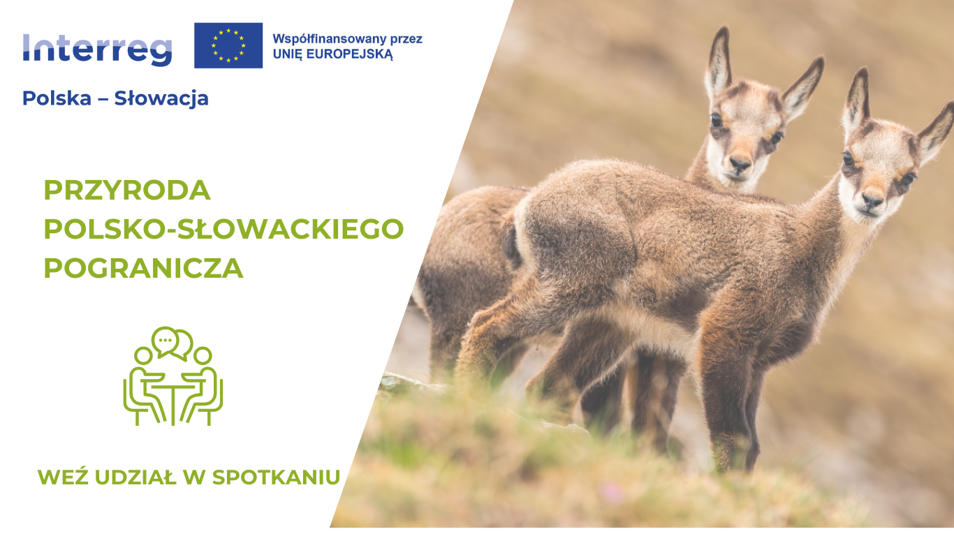 Spotkanie informacyjne Bielsko-Biała