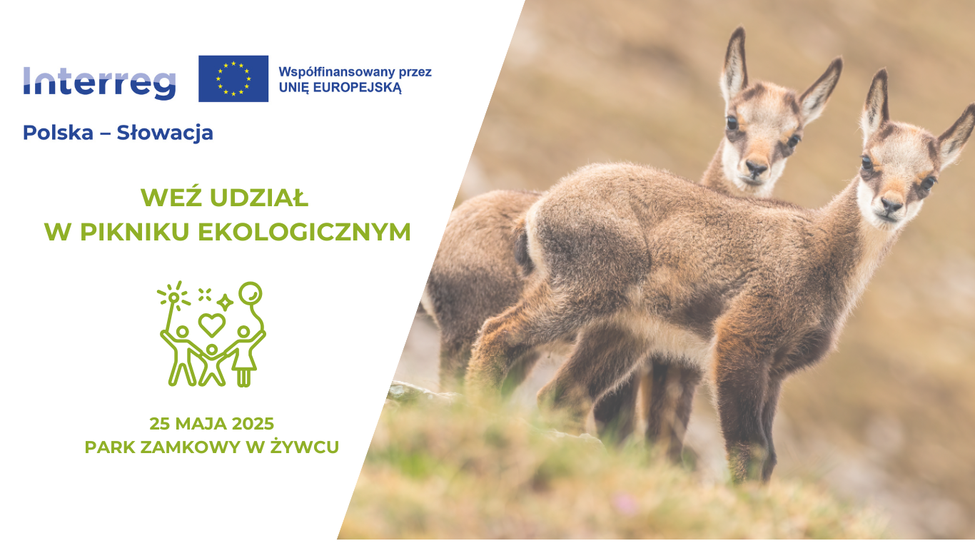 Odwiedź stoisko Programu na pikniku ekologicznym w Żywcu!