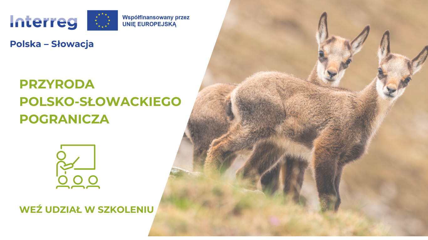 Szkolenie: Jak przygotować projekt z Bioróżnorodności