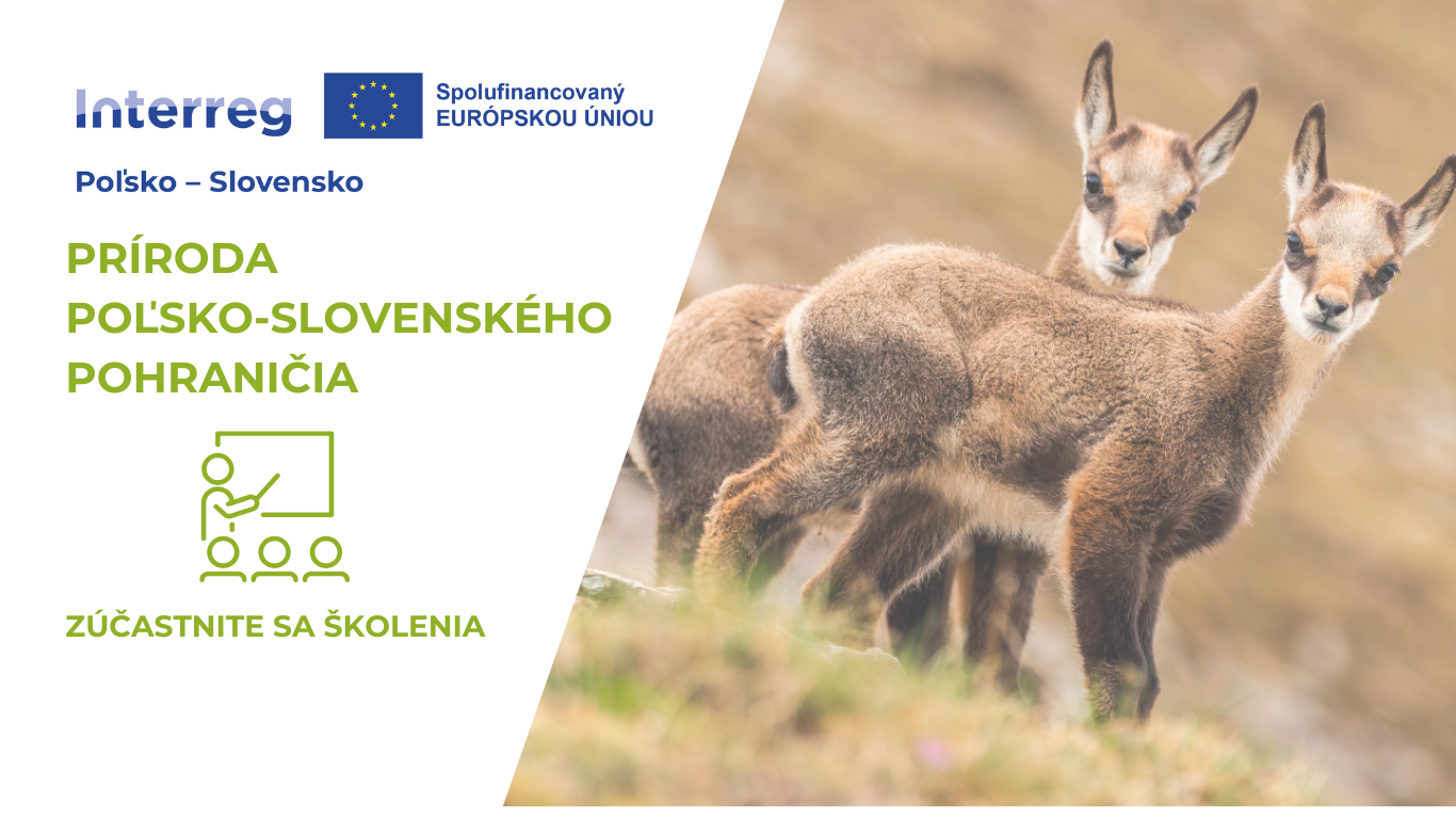Školenie: Ako pripraviť projekt zameraný na biodiverzitu