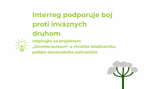 Interreg podporuje boj proti inváznych druhom – inšpirujte sa projektom „ZeroHeracleum“ a chráňte biodiverzitu poľsko-slovenského pohraničia