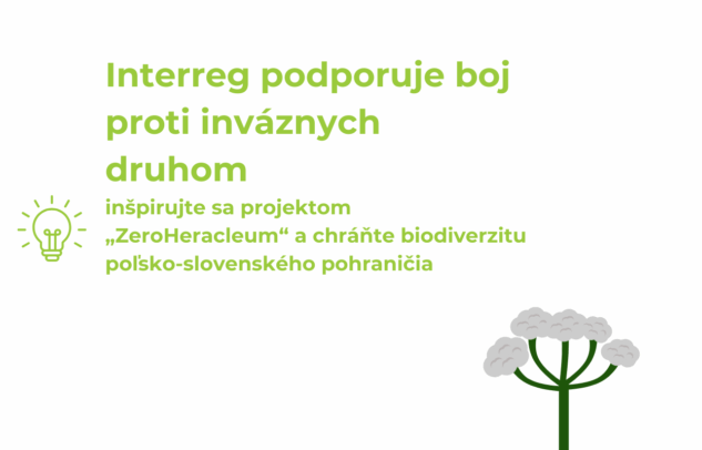  Interreg podporuje boj proti inváznych druhom – inšpirujte sa projektom „ZeroHeracleum“ a chráňte biodiverzitu poľsko-slovenského pohraničia