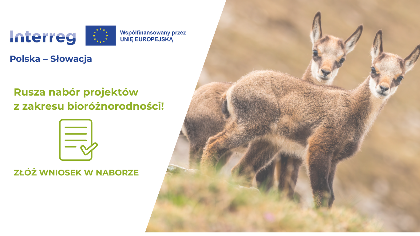 Ruszył nabór projektów z zakresu bioróżnorodności