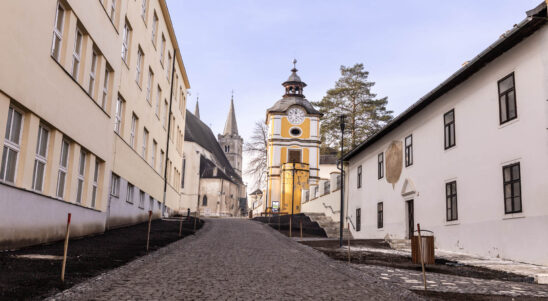 Ciricium a Slovenský Vatikán. Ochrana a revitalizácia sakrálnych pamiatok a miest v ich okolí