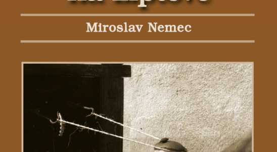 Publikácia: Povrazníctvo na Liptove