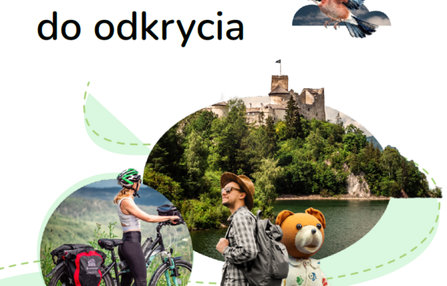  Wakacje z biuletynem eFEkty